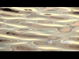 English Countryside Glistening Water 240